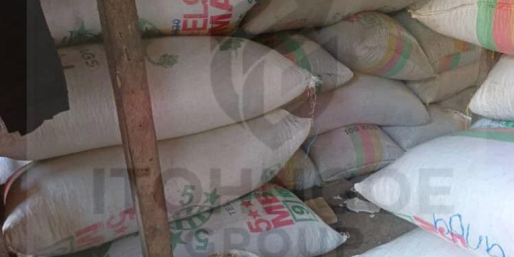 seedbag2